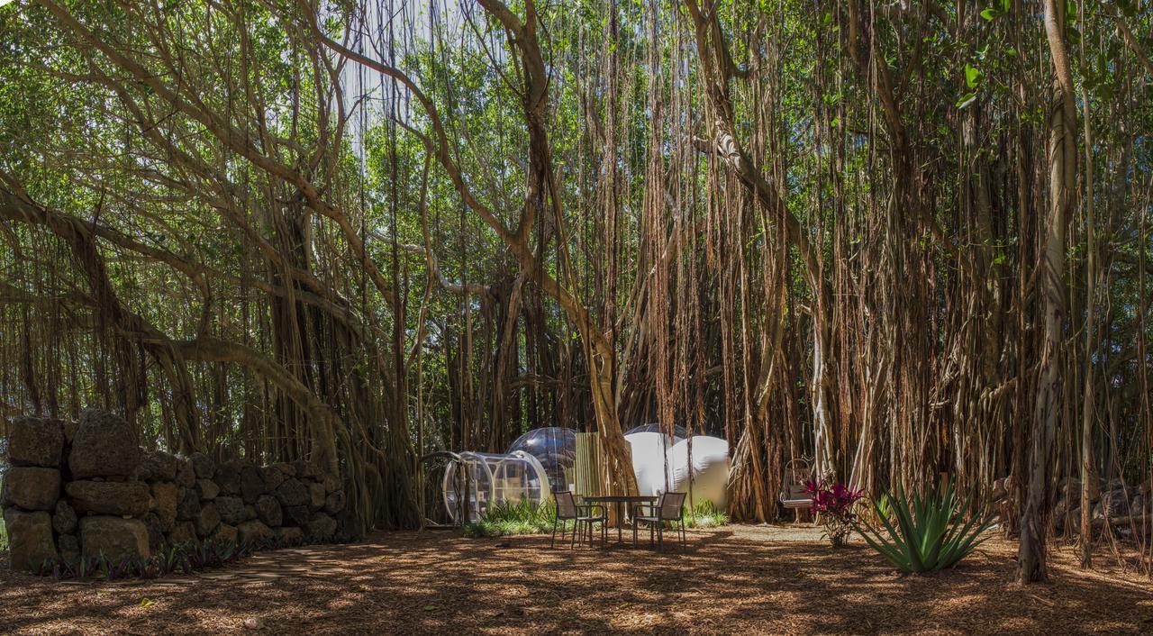 Bubble Lodge Ile Aux Cerfs Island Екстер'єр фото